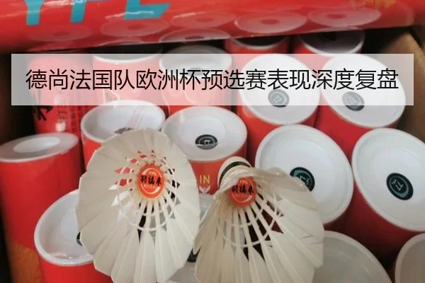 德尚法国队欧洲杯预选赛表现深度复盘